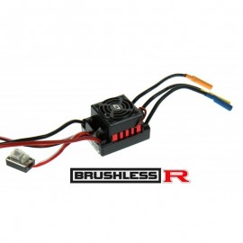 Variateur brushless R